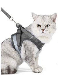 Katzengeschirr | Mit Leine Nachhaltig Atmungsaktiv Komfortabel Langlebig Robust-Luzern Mode