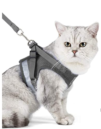 Katzengeschirr | Mit Leine Nachhaltig Atmungsaktiv Komfortabel Langlebig Robust-Luzern Mode