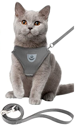 Katzengeschirr | Mit Leine Nachhaltig Atmungsaktiv Komfortabel Langlebig Robust-Luzern Mode