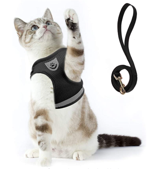 Katzengeschirr | Mit Leine Nachhaltig Atmungsaktiv Komfortabel Langlebig Robust-Luzern Mode