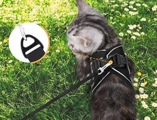 Katzengeschirr | Mit Leine Nachhaltig Atmungsaktiv Komfortabel Langlebig Robust-Luzern Mode