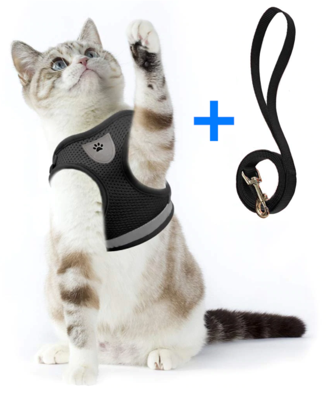 Katzengeschirr | Mit Leine Nachhaltig Atmungsaktiv Komfortabel Langlebig Robust-Luzern Mode