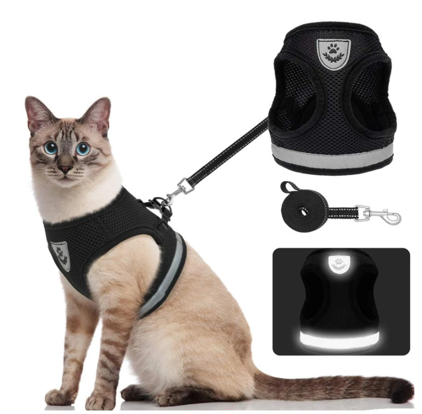 Katzengeschirr | Mit Leine Nachhaltig Atmungsaktiv Komfortabel Langlebig Robust-Schwarz-S-Luzern Mode
