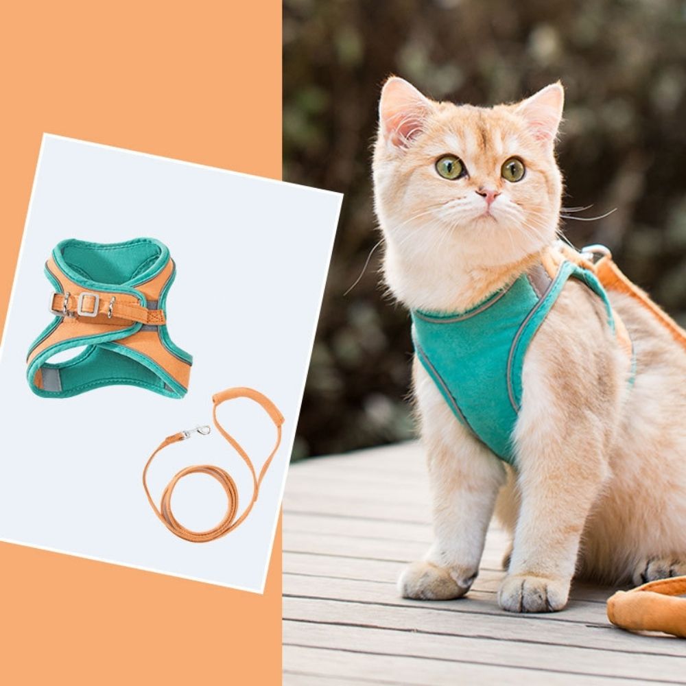 Katzengeschirr | Sicher | Komfortabel | Atmungsaktiv | Mit Leine | Weich | Langlebig-Luzern Mode
