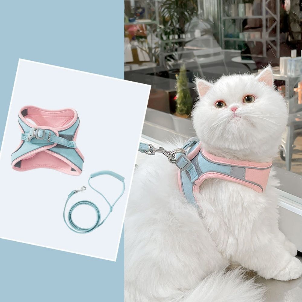 Katzengeschirr | Sicher | Komfortabel | Atmungsaktiv | Mit Leine | Weich | Langlebig-Luzern Mode