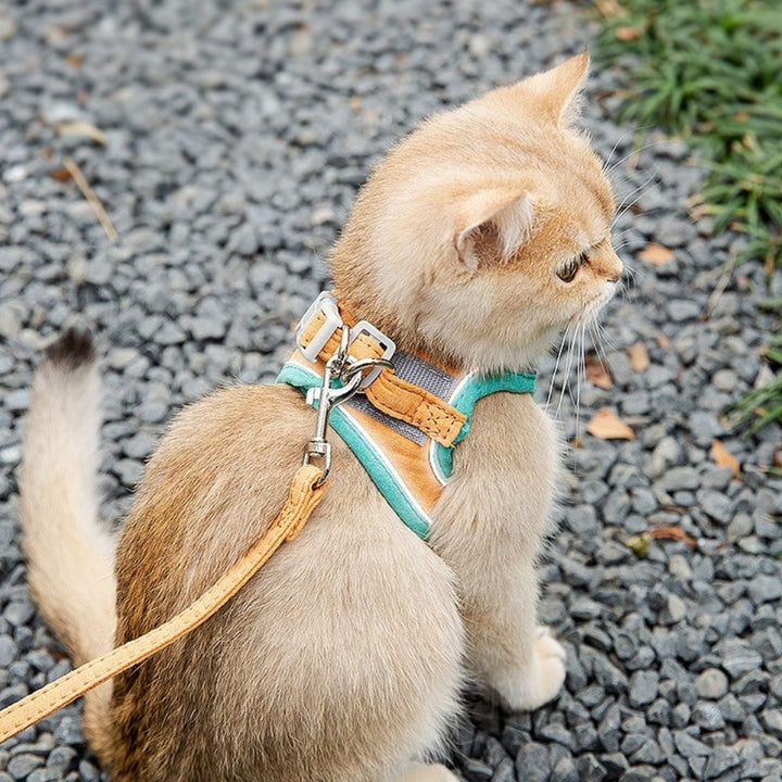 Katzengeschirr | Sicher | Komfortabel | Atmungsaktiv | Mit Leine | Weich | Langlebig-Luzern Mode