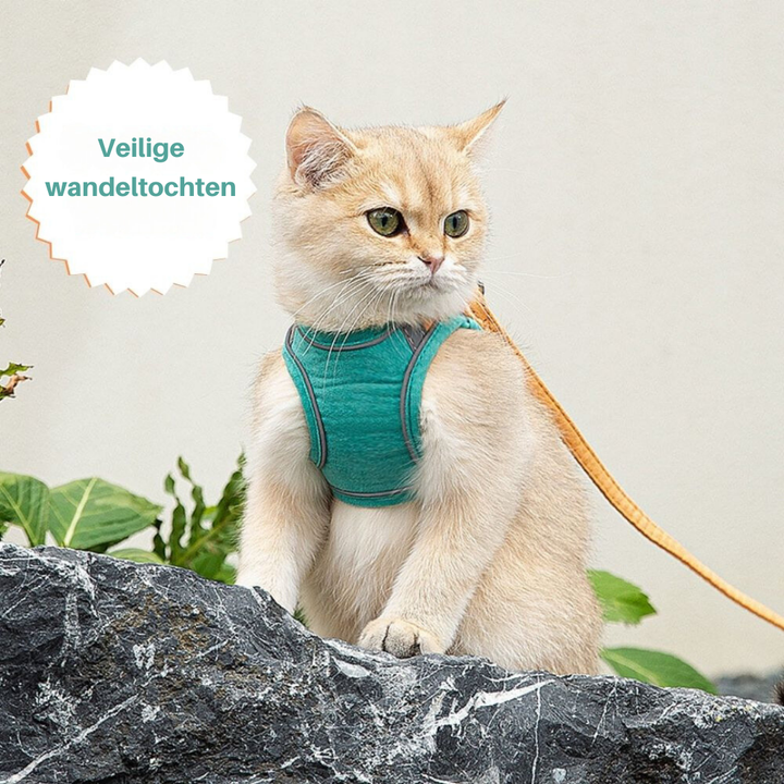 Katzengeschirr | Sicher | Komfortabel | Atmungsaktiv | Mit Leine | Weich | Langlebig-Luzern Mode