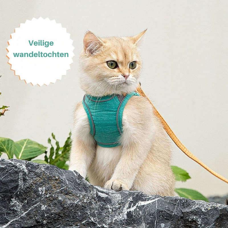 Katzengeschirr | Sicher | Komfortabel | Atmungsaktiv | Mit Leine | Weich | Langlebig-Luzern Mode