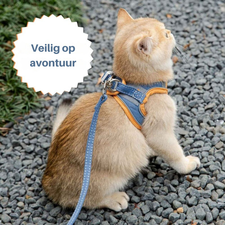 Katzengeschirr | Sicher | Komfortabel | Atmungsaktiv | Mit Leine | Weich | Langlebig-Luzern Mode