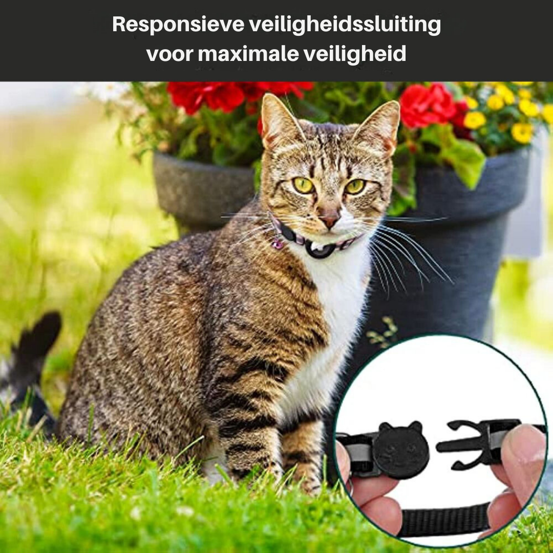 Katzenhalsband | GPS-Tracker Sicher Langlebig Robust Reflektierend-Luzern Mode