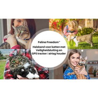 Katzenhalsband | GPS-Tracker Sicher Langlebig Robust Reflektierend-Luzern Mode