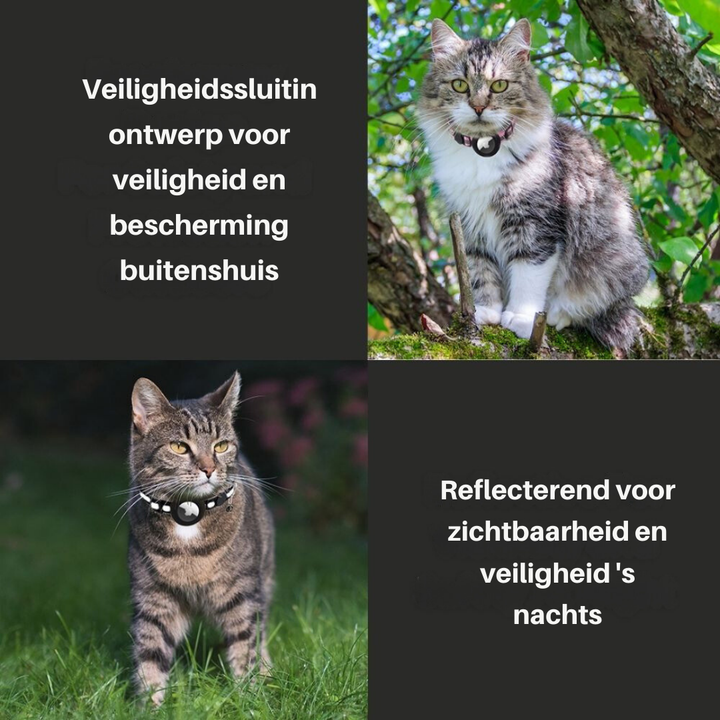Katzenhalsband | GPS-Tracker Sicher Langlebig Robust Reflektierend-Luzern Mode