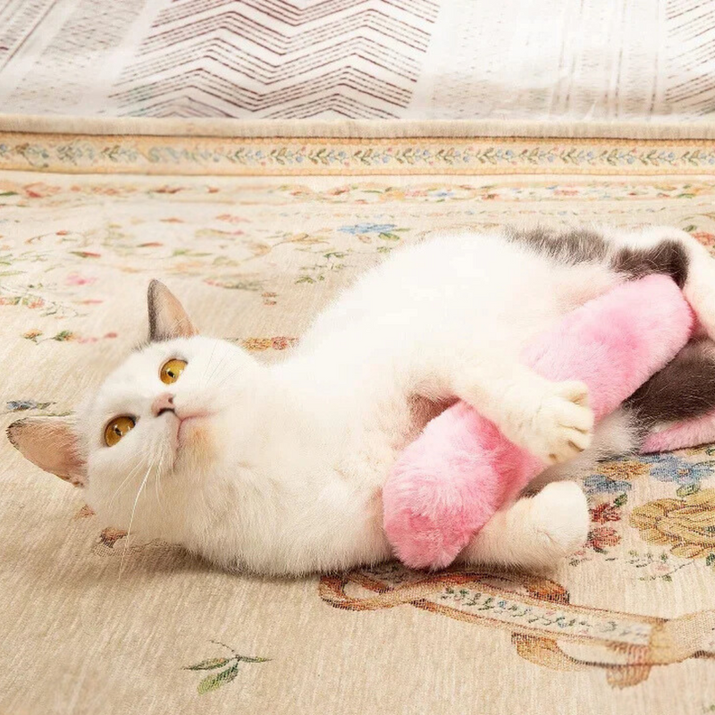 Katzenspielzeug | Kuschelig Weich Katzenminze Langlebig Interaktiv Spielen-Luzern Mode