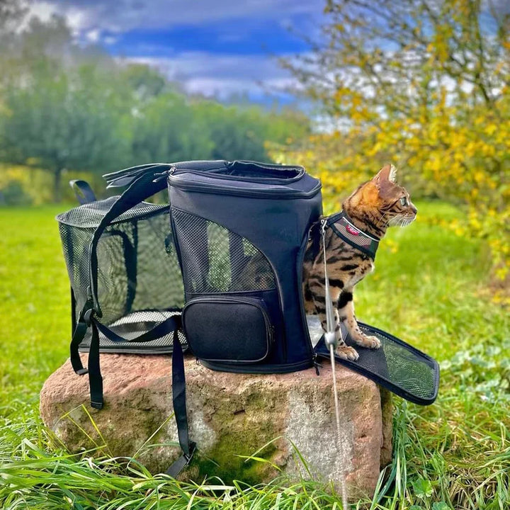 Reisetasche für Katzen | Belüftet | Robust | Sichtfenster | Aufbewahrungsfächer-Luzern Mode