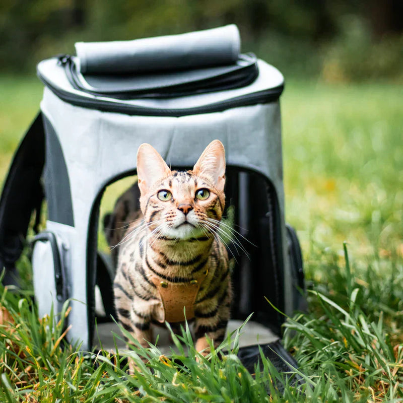 Reisetasche für Katzen | Belüftet | Robust | Sichtfenster | Aufbewahrungsfächer-Luzern Mode