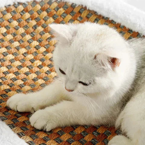 Katzen Krabbed | Nachhaltig | Multifunktional | Oval | Plüsch | Weiß | Sisal-Luzern Mode