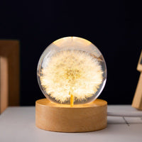 Kristallkugel Lampe | Blumen | Ewigkeit | 6 CM | USB | Beruhigend-Löwenzahn-Luzern Mode