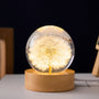 Kristallkugel Lampe | Blumen | Ewigkeit | 6 CM | USB | Beruhigend-Löwenzahn-Luzern Mode