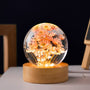 Kristallkugel Lampe | Blumen | Ewigkeit | 6 CM | USB | Beruhigend-Rote Margerite-Luzern Mode
