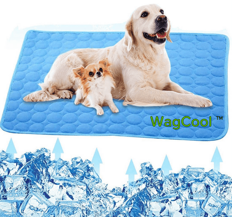 Hundematte | Kühlend Sommer Ice-Silk Tragbar Langlebig Waschbar-XS 40x30cm-Blau-Luzern Mode