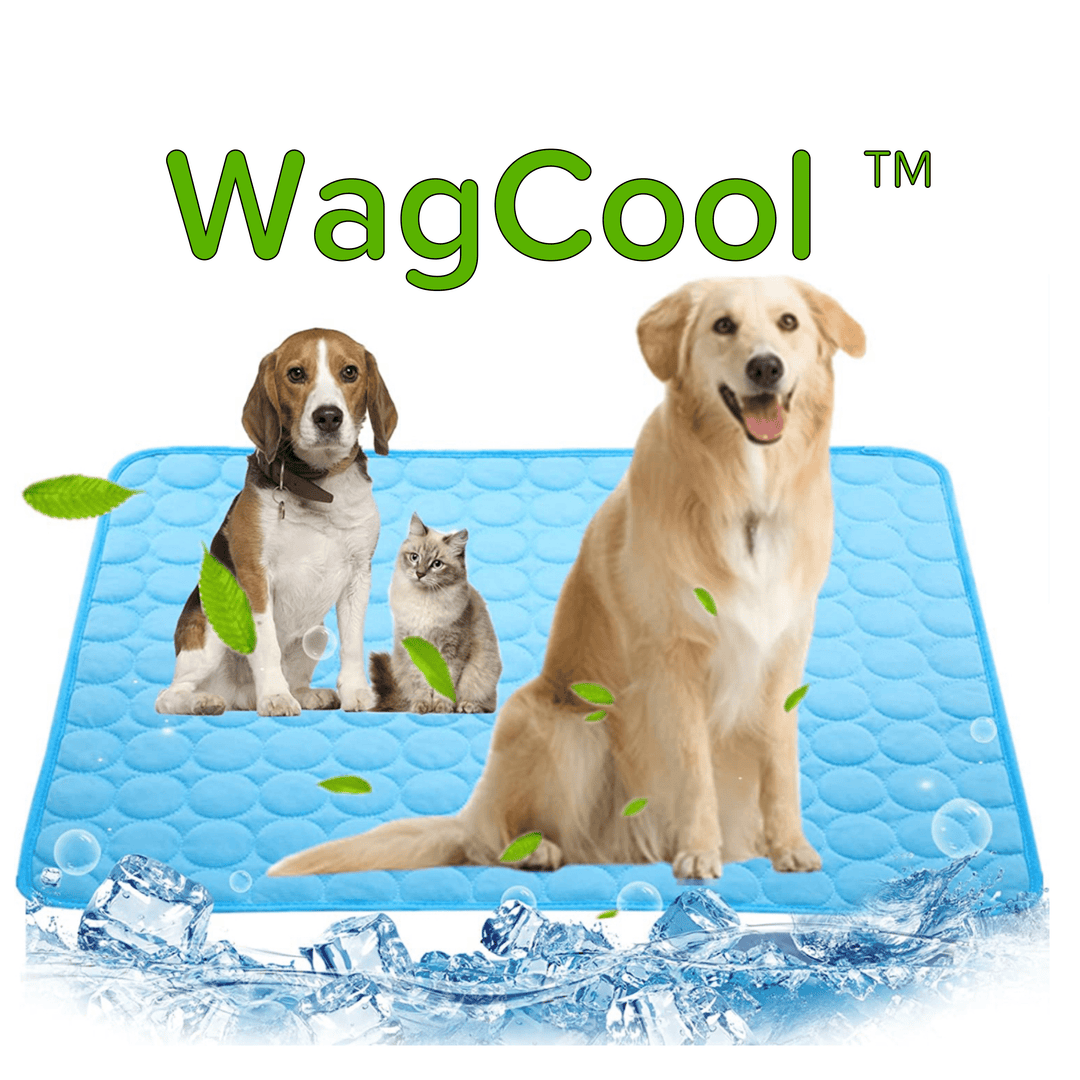 Hundematte | Kühlend Sommer Ice-Silk Tragbar Langlebig Waschbar-Luzern Mode