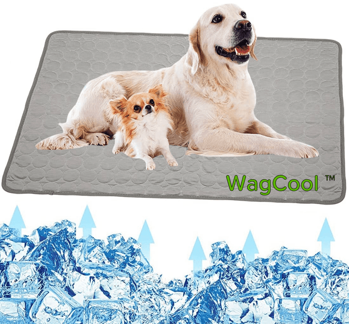Hundematte | Kühlend Sommer Ice-Silk Tragbar Langlebig Waschbar-XS 40x30cm-Grau-Luzern Mode
