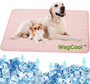 Hundematte | Kühlend Sommer Ice-Silk Tragbar Langlebig Waschbar-XS 40x30cm-Rosa-Luzern Mode