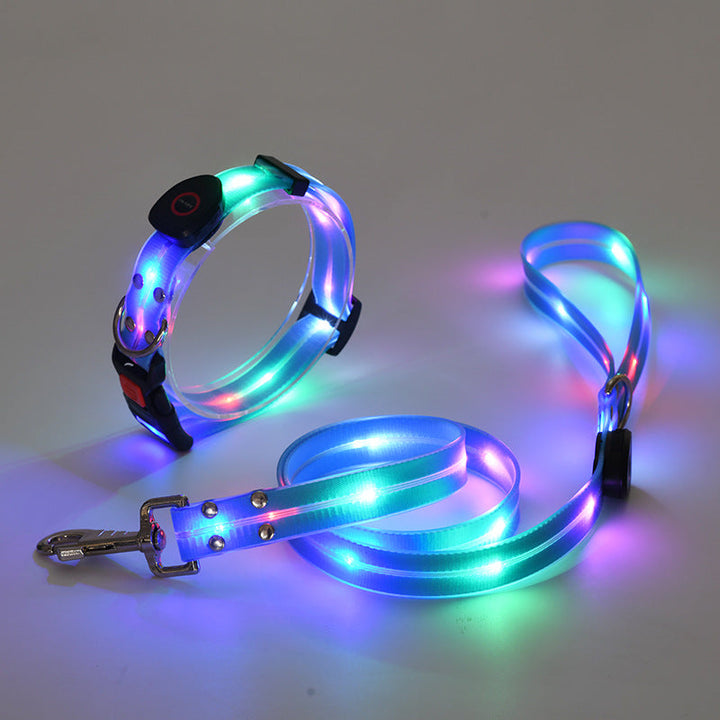 Hundehalsbandset | Leine | LED | Wiederaufladbar | USB | Sicher | Sichtbar | Farbe-Blau-Luzern Mode