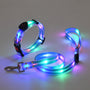 Hundehalsbandset | Leine | LED | Wiederaufladbar | USB | Sicher | Sichtbar | Farbe-Blau-Luzern Mode
