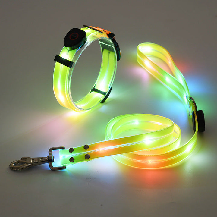Hundehalsbandset | Leine | LED | Wiederaufladbar | USB | Sicher | Sichtbar | Farbe-Luzern Mode