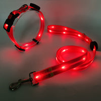 Hundehalsbandset | Leine | LED | Wiederaufladbar | USB | Sicher | Sichtbar | Farbe-Luzern Mode