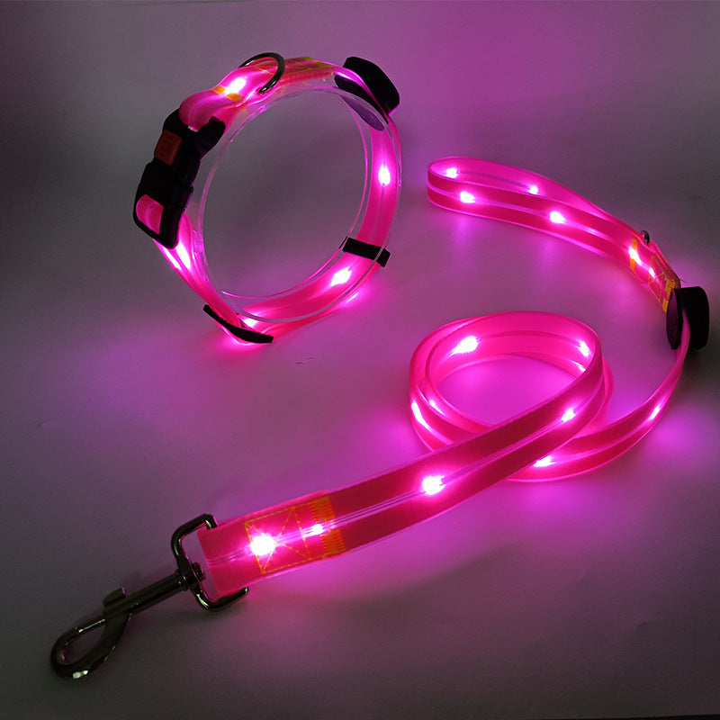 Hundehalsbandset | Leine | LED | Wiederaufladbar | USB | Sicher | Sichtbar | Farbe-Luzern Mode