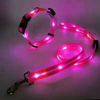 Hundehalsbandset | Leine | LED | Wiederaufladbar | USB | Sicher | Sichtbar | Farbe-Luzern Mode