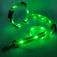 Hundehalsbandset | Leine | LED | Wiederaufladbar | USB | Sicher | Sichtbar | Farbe-Luzern Mode