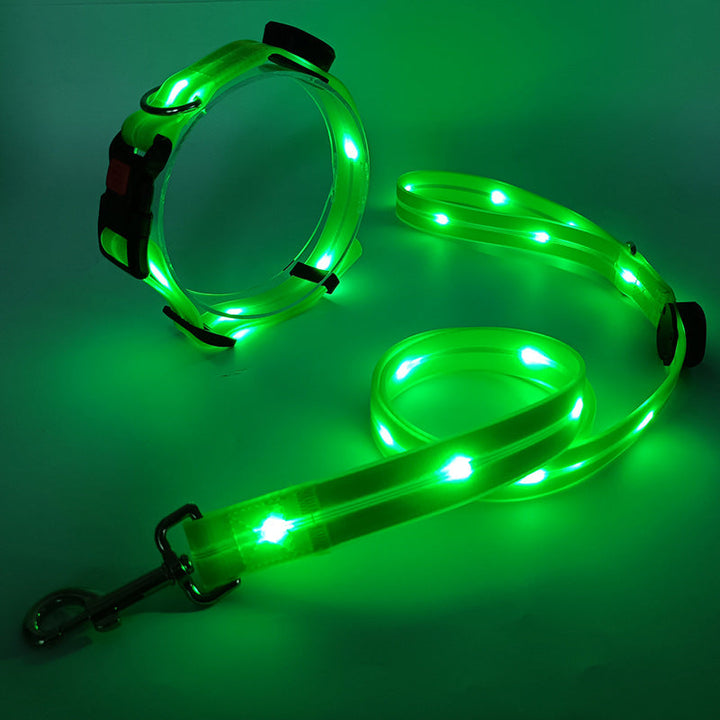 Hundehalsbandset | Leine | LED | Wiederaufladbar | USB | Sicher | Sichtbar | Farbe-Luzern Mode