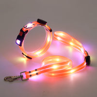 Hundehalsbandset | Leine | LED | Wiederaufladbar | USB | Sicher | Sichtbar | Farbe-Orange-Luzern Mode