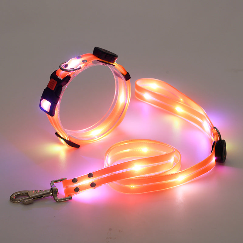 Hundehalsbandset | Leine | LED | Wiederaufladbar | USB | Sicher | Sichtbar | Farbe-Orange-Luzern Mode