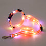 Hundehalsbandset | Leine | LED | Wiederaufladbar | USB | Sicher | Sichtbar | Farbe-Orange-Luzern Mode