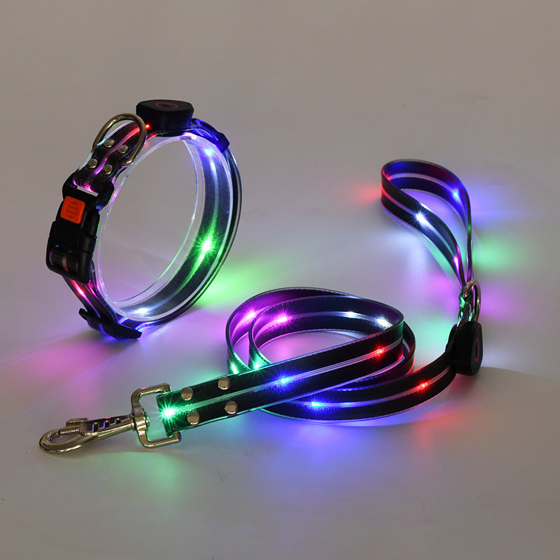 Hundehalsbandset | Leine | LED | Wiederaufladbar | USB | Sicher | Sichtbar | Farbe-Schwarz-Luzern Mode