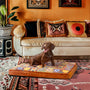 Hundebett | Marokkanischer Stil Komfortabel Ergonomisch Weich Stilvoll-Braun-M-Luzern Mode