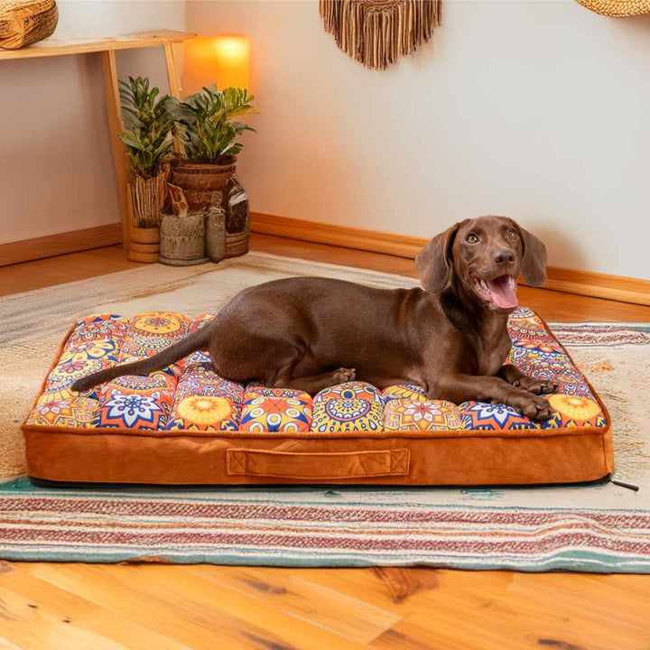 Hundebett | Marokkanischer Stil Komfortabel Ergonomisch Weich Stilvoll-Luzern Mode