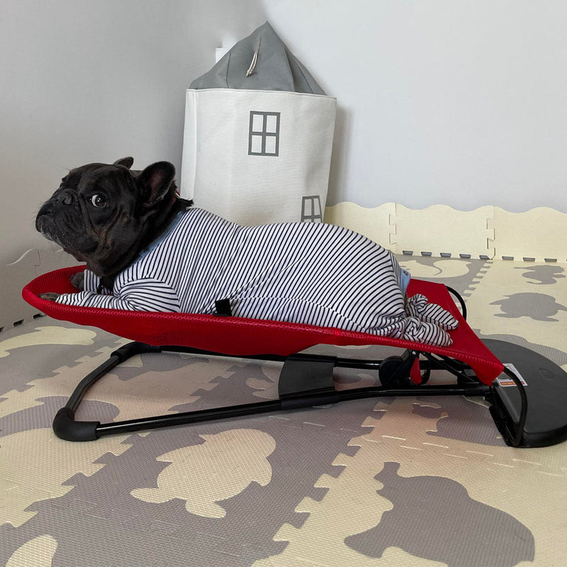 Schaukelstuhl für Hunde | Komfortabel | Beruhigend | Robust | Luxuriös-Rot-Luzern Mode