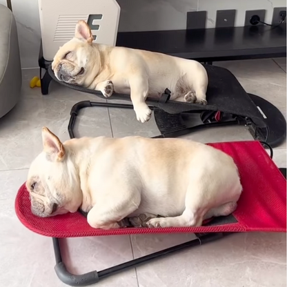 Schaukelstuhl für Hunde | Komfortabel | Beruhigend | Robust | Luxuriös-Luzern Mode