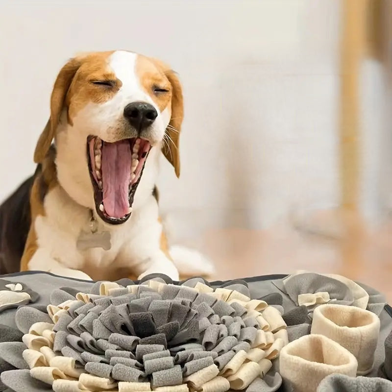 Futtermatte für Hunde | Spielerisch | Ruhiges Essen | Rutschfest | Qualität-Luzern Mode