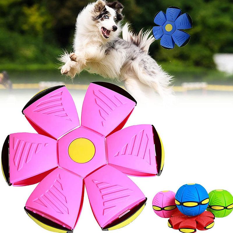 Hundespielball | Interaktiv LED Aufladbar Langlebig Vielseitig-Rosa + Rot-Luzern Mode