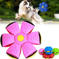 Hundespielball | Interaktiv LED Aufladbar Langlebig Vielseitig-Rosa + Rot-Luzern Mode