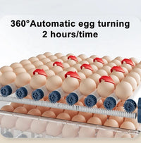 Automatische Brutmaschine – HatchEase