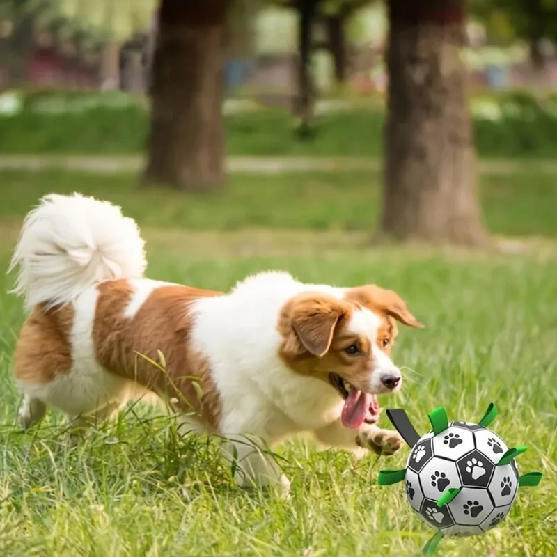 Unzerstörbarer Hundeball | Griffe | Langlebig | Sicher | Wasserdicht-Luzern Mode
