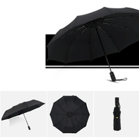 Sturmsicherer & Faltbarer Regenschirm – AeroShield