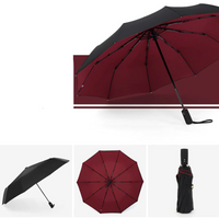 Sturmsicherer & Faltbarer Regenschirm – AeroShield